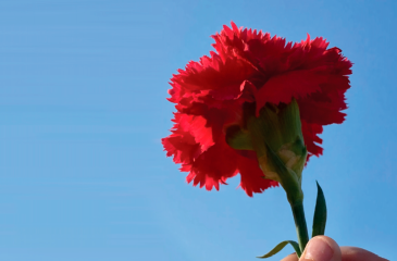 25Abril_CP_2026.04.22