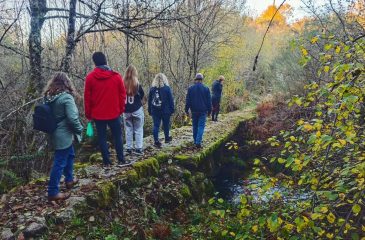 AVDRVC_Resende_2026.04.14