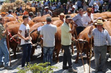 AgroDouroverde_2024.10.03