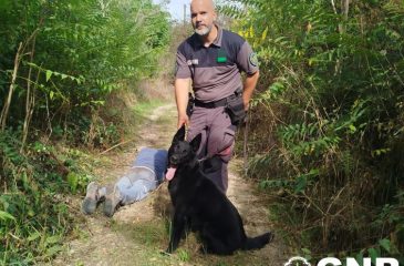 Amarante_Viseu_UEPS_2026.09.04