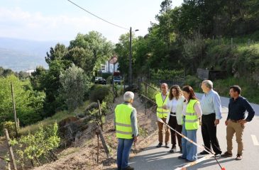 AnaraquelAzevedo1_2026.04.27