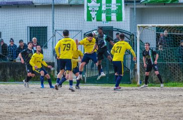 AvessadasMaureles_2025.03.11