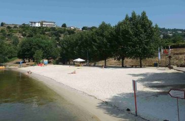 BitetosEDIT6_2026.06.19