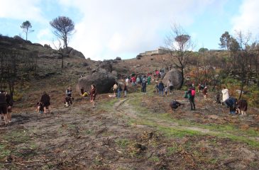 BosqueAutoctone_2025.01.31