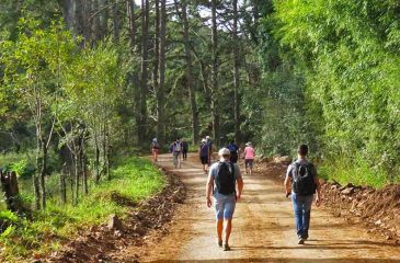 CaminhadaCR_2025.04.29