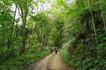 Caminhada_Castanhas_Tabuado_2026.10.14
