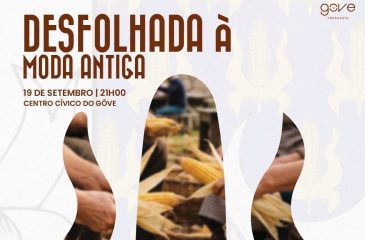 DesfolhadaGoveRM_2026.09.04