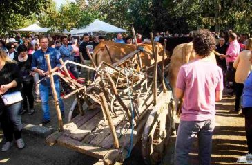 FeiraSecXIX_ADEP_2_2026.10.08