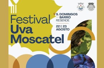 FestivalMostcatel04_2026.08.12