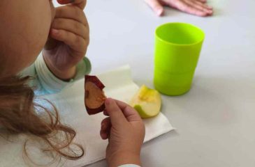 Frutificar11_2026.10.19