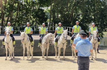 GNRCavalo_Amarante_2026.07.01