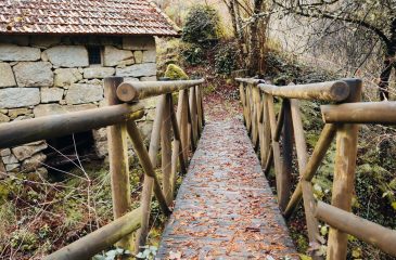 MoinhoTendais_2026.04.09