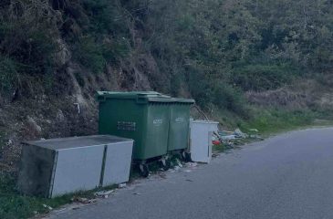 MonosSobretamegaRM1_2026.10.16