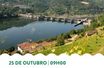 PR9_CaminhosZeTelhado_2026.10.01