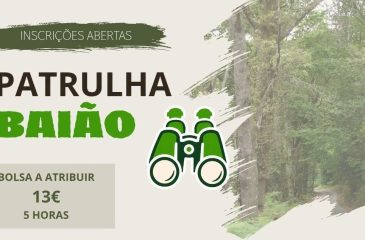 PatrulhaBaiao_2026.06.29