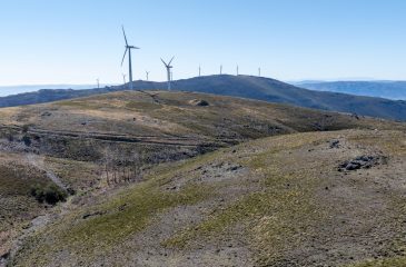 PenedoRuivo_2026.04.30