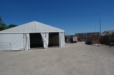 Raizes1_2026.05.20