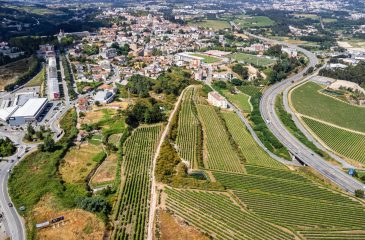 RotundaSantaMeBustelo_2025.07.08