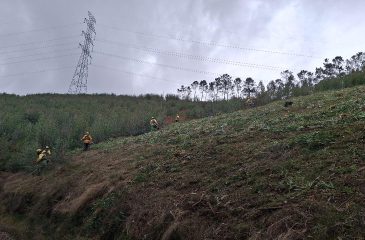 SapadoresFlorestais_2026.05.21
